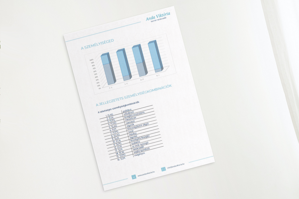 Kompetencia- és motivációs teszt eredménye karriertervezéshez.